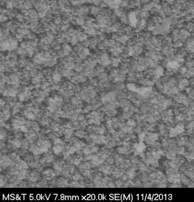 antimicrobial effectiveness Time 0 (unreacted) 1 Day 7 Days 14 Days 28 Days Scanning electron microscopy (SEM) images of the apatite layer