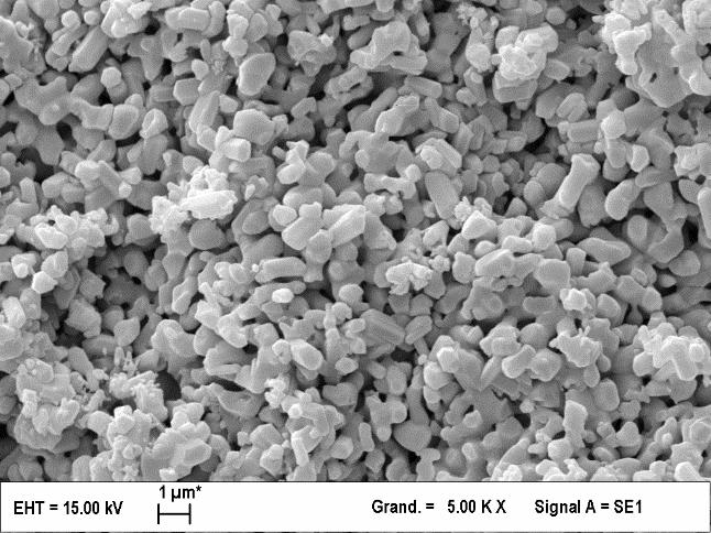 20 30% microporous (<10μm) Micropores allows for diffusion of