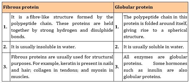 14. What type of bonding helps in stabilising the -helix structure of proteins? Ans.
