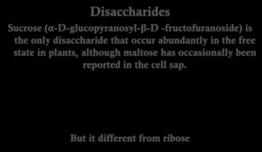 Disaccharides Sucrose (α-d-glucopyranosyl-β-d -fructofuranoside) is the only disaccharide that occur abundantly in