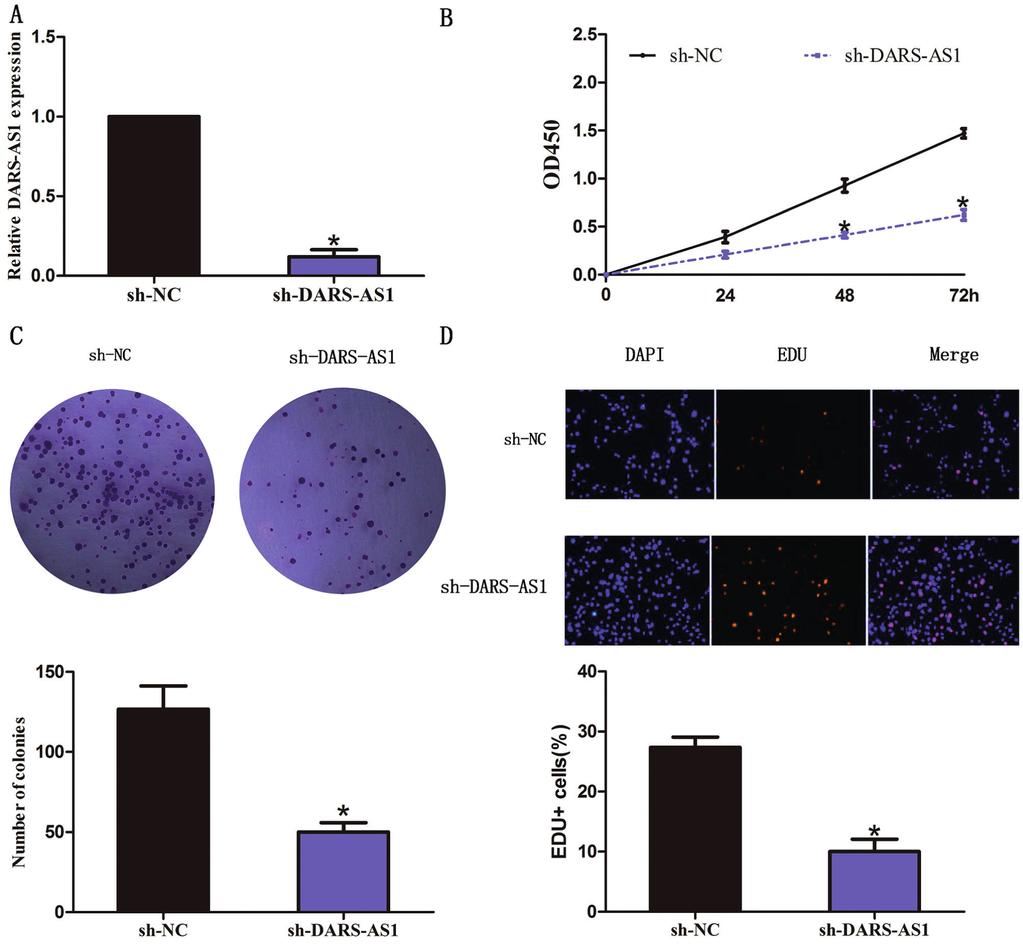 K. Huang, W.-S. Fan, X.-Y. Fu, Y.-L. Li, Y.-G. Meng Figure 2. Knockdown of DARS-AS1 inhibited SKOV3 ovarian cancer cell proliferation.