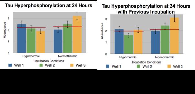 27 Melatonin as a Treatment for Tau Hyperphosphorylation To examine the effects of melatonin on hyperphosphorylation, the absorbance levels were compared at time intervals only in order to limit the