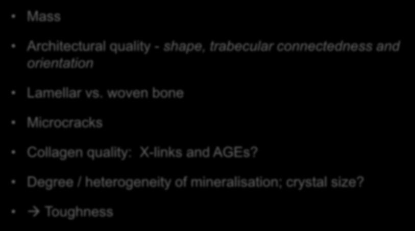 Factors affecting bone strength Mass Architectural quality - shape, trabecular connectedness and orientation Lamellar vs.