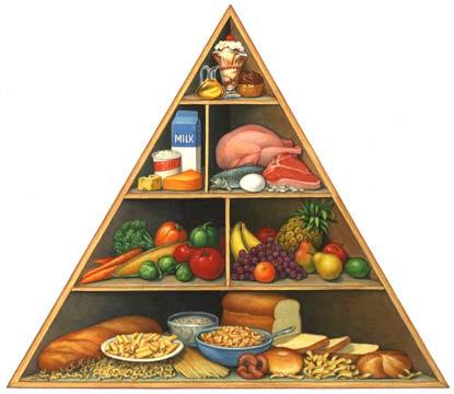 Pyramid: The food pyramid can help guide you to make good choices for your diet. The bread and cereal group is at the bottom of the pyramid.