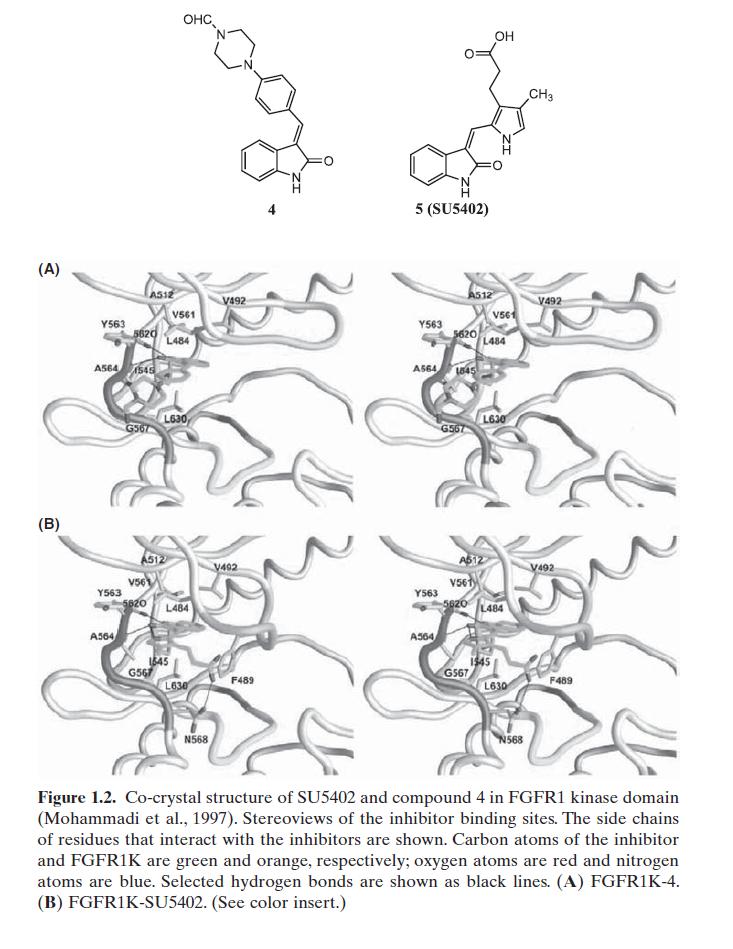 SU5402 as Z isomer in NMR solution (Sun et al., 1998 ).
