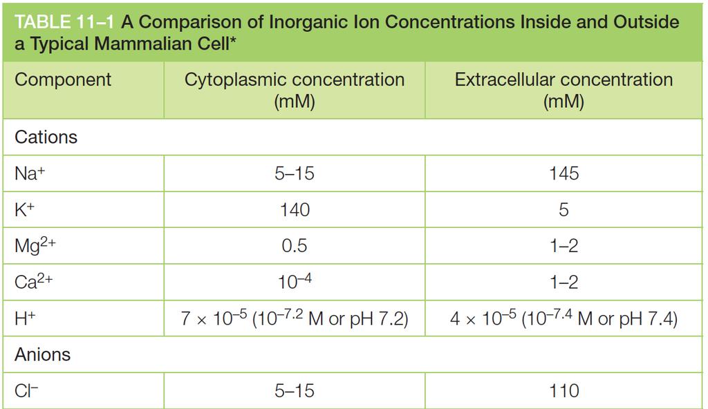 Composi-on of Intracellular Fluid and Extracellular Fluid water