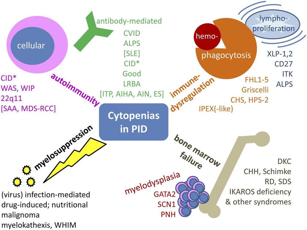 Synopsis of cytopenias in PID.