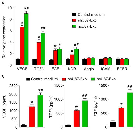 792 lang et al: Glioma promote angiogenesis Figure 4. ncu87-exo and shu87-exo regulate angiogenesis related-genes and protein expression in HUVECs.