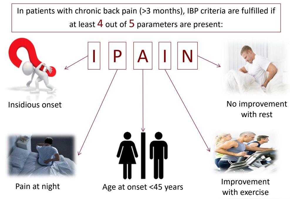 *important Differentiating between Inflammatory back pain (IBP) and Mechanical back pain (MBP) is important because IBP must be taken seriously.