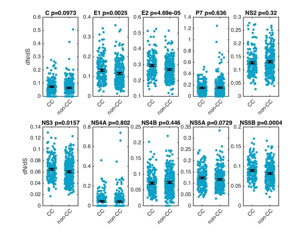 Figure S10. Association between dn/ds and IFNL4 genotypes at the viral gene level.