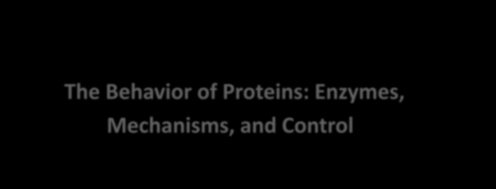 The Behavior of Proteins: