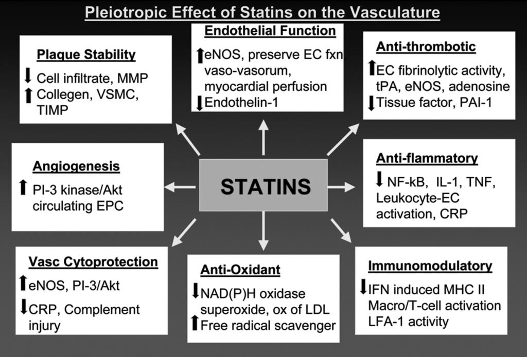 Pleiotropic effect of statins on the vasculature DeGraba, T. J.