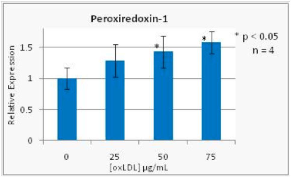 Figure 3. The graphical representation of the mass spectrometry data which show an increase in protein of expression of peroxiredoxin-1 as the concentration of the oxldl is increased. Figure 4.