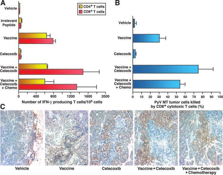 2396 CELECOXIB ENHANCES EFFICACY OF BREAST CANCER VACCINE FIGURE 3. A, Celecoxib enhanced IFN- -producing CD8 T cells when administered in combination with DC vaccine.