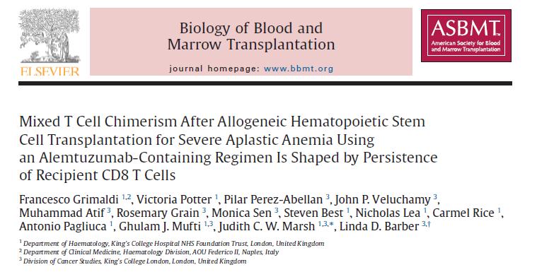 Toward a cure for aplastic anemia OS - Not censored for HSCT OS MSD vs UD 100 50 N=92;