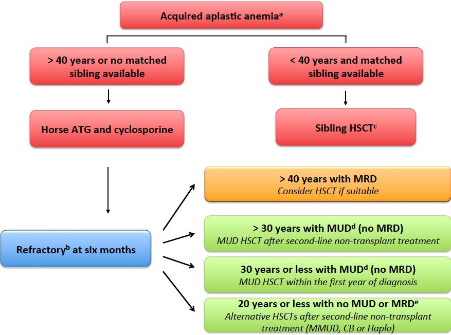 Treatment algorithm of aplastic anemia Updated to