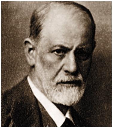 The Psychoanalytic Perspective From Freud s theory which proposes that