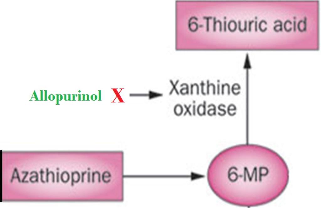 Cont.. Drug interactions For Allopurinol only inhibiting the Warfarin & dicumarol: metabolism of a inhibits their metabolism drug increases the (Bleeding) drug s action 6-mercaptopurine and