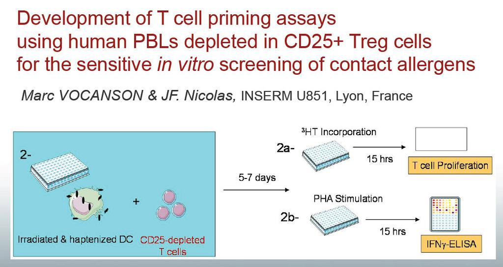 T-Cell Priming Assay