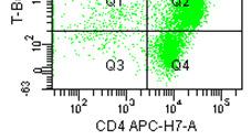 BfR: DC-induced T cell transcription factors in in vitro Vorarbeiten Expression