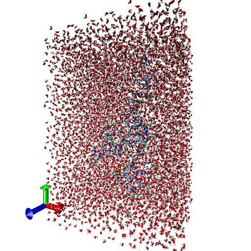Molecular dynamics Surround with water and Na+