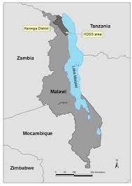 Study aims Investigate risk factors for household rotavirus transmission in Blantyre, Malawi What is the SAR of rotavirus infection from a symptomatic index child to household contacts in