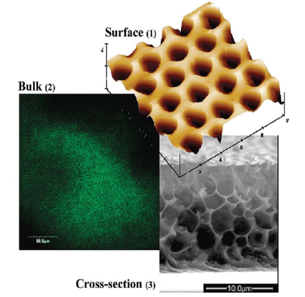 2) Membranes prepared by block copolymer In this work, 3D well-ordered honeycomb structures patterned from PEEK-WC-N 2 have been obtained.