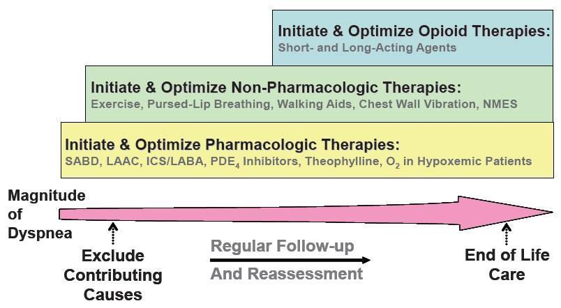 Comprehensive Approach to Management of Dyspnea in Advanced COPD