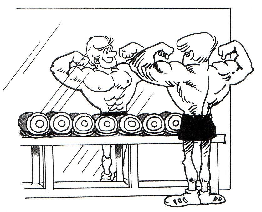 8. The Bodybuilder s Syndrome is a disproportionate focus on the development of which muscle