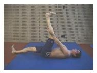 Hamstring Lying flat on the floor, lift one thigh toward your chest.