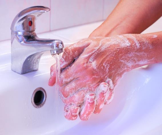 Always wash your hands: Before handling food After using the toilet After handling raw foods After cleaning After