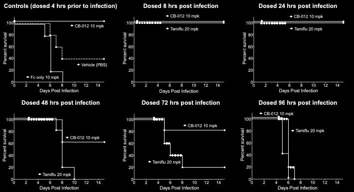 Tamiflu dosed BID for 5 days in each cohort In this lethal mouse model of H1N1, single IV doses of CB-012