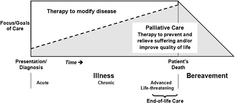 Figure 3: Emerging Models Figure 3: Note. From A Model to Guide Hospice Palliative Care: Based on National Principles and Norms of Practice by F.D. Ferris, H.M. Balfour, K. Bowen, J. Farley, M.