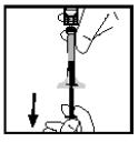 Then, slowly pull the plunger back to draw the liquid into the syringe (Figure 11). For adult patients, unless directed otherwise by your doctor, withdraw the entire volume.