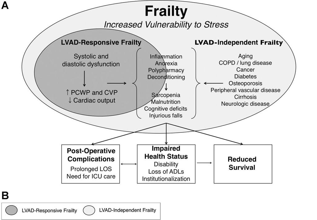 Frailty Multimorbidity, Aging, and