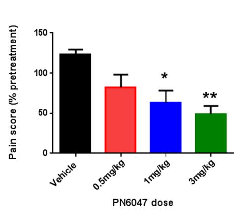 D o s e (m g /k g ) PN6047 does not affect pentylenetetrazol (PTZ)- induced seizures in mice SNL-induced allodynia P T Z in d u c e d s e iz u re s - H in d lim b to n u s 1 5 0 1 0 0 5 0 0 V e h ic