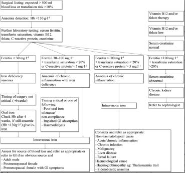 Review article that looks at optimizing pre-operative anemia in surgical patients who are planned to have a surgery where more than 500mL blood loss is expected.