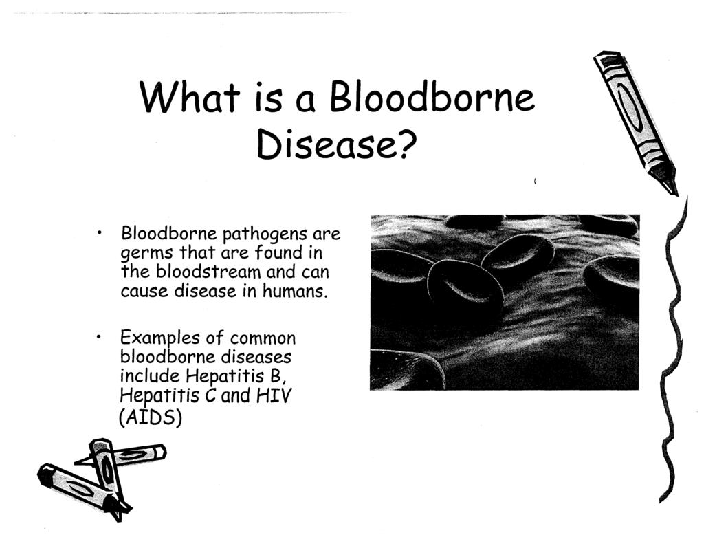 What is a Bloodborne Disease?