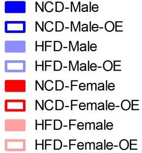 pakt S473 F Akt βactin D Female s.mus HFD NCD Male s.