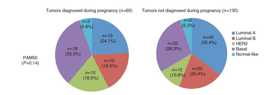 PABC: Molecular subtypes Breast cancer during pregnancy No difference in molecular