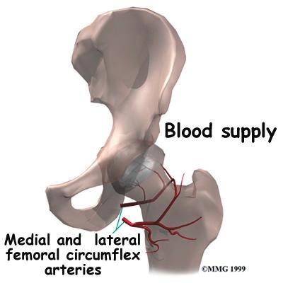 Causes Why do I have this problem? Injury is an obvious cause of hip fractures. In the elderly population, an injury can result from something as simple losing one's balance and falling to the ground.