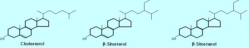 CASE STUDIES: PLANT STEROLS - NOVEL FOOD IN EU Plant Sterols blood cholesterol