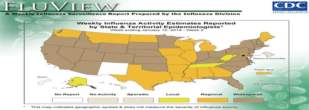 Adenovirus and parainfluenza accounted for 1% () of the cases each. The percentage of influenza-like illness visits in the Active Duty population increased by 23% when compared to the previous week.