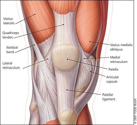 Anterior Knee : infrapatella Supine position : 20 ~30 knee flexion Infrapatellar tendon : 4~5
