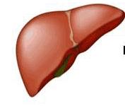 Healthy Liver 2 3% US Adults 15 2% NAFLDs Fatty Liver TGs LFTs Liver fat 1 2% NASH NASH Liver Steatosis