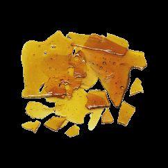 LIVE SUGAR LIVE RESIN Using freshly harvested cannabis to create a terpene heavy