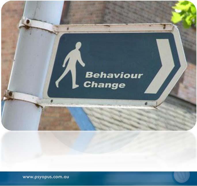 Sustaining Behavioural Change in Community Safety: challenges and techniques Part 1: