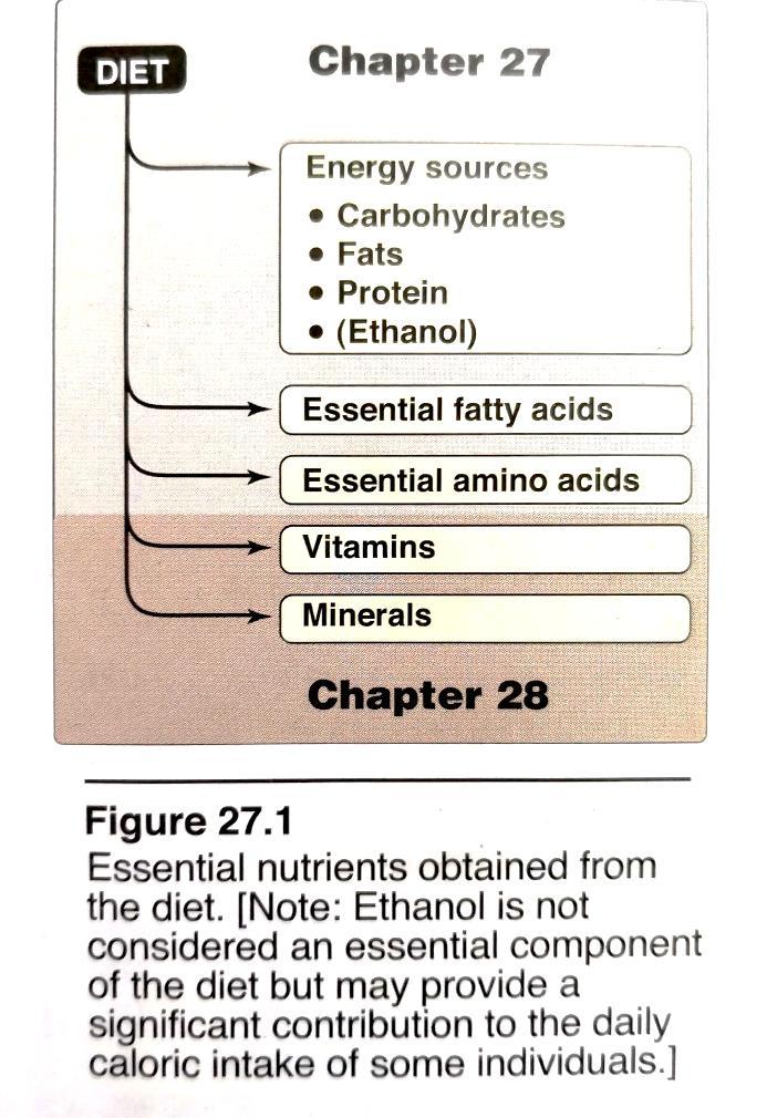 2 Nutrition Introduction Nutrients are the constituents of food necessary to sustain the normal functions of the body.