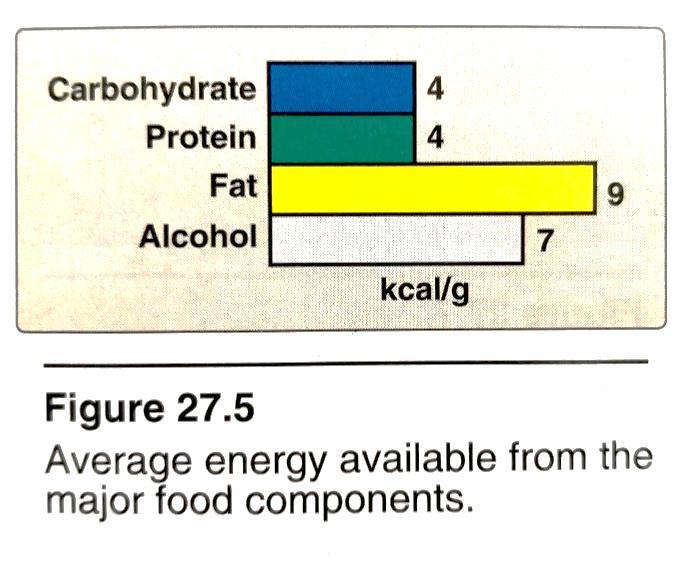 5 Energy Requirements in Humans The estimated energy requirement is average dietary energy intake predicted to maintain an energy balance, that is; calories consumed are equal to the energy expended.