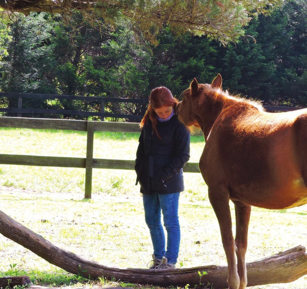 MEETING Mental Health Challenges in a POWERFUL WAY EAGALA Model Equine-Assisted Psychotherapy EAGALA Model